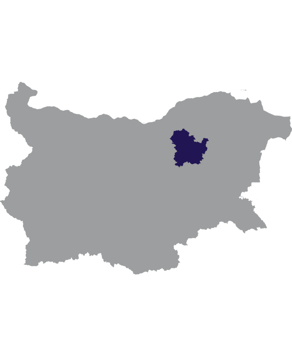 Landkaart Bulgarije grijs met oblast Targovisjte donkerblauw op transparante achtergrond - 600 * 733 pixels